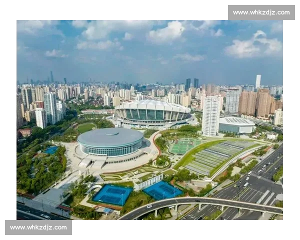 体育中心引领城市活力与全民健身新风尚发展蓝图发展新格局示范区